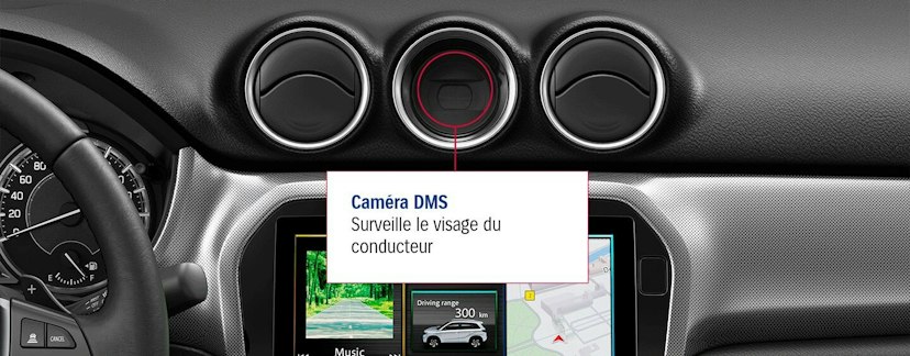 Suzuki, Vitara Display