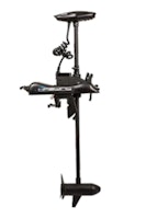 Cayman-B 55lbs
