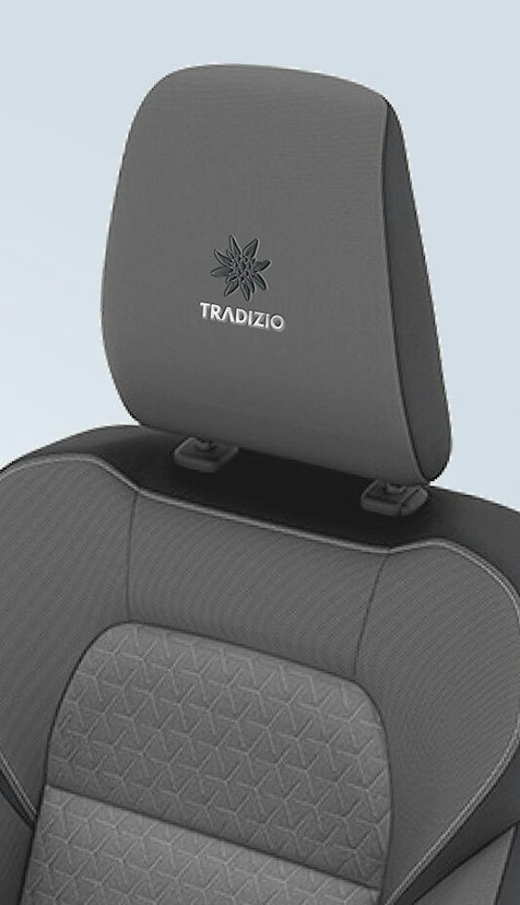 Swift Tradizio Sitz