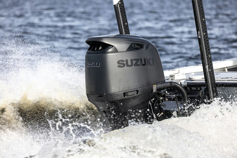 Suzuki Motor DF250AUN KURO