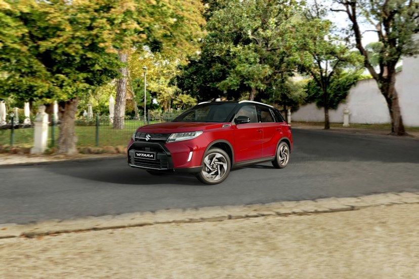 Roter Suzuki, Vitara